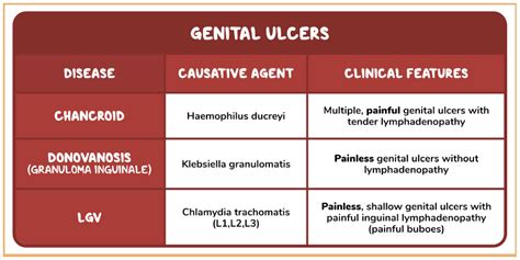 lgv vs chlamydia.